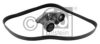 DAF 1856140 V-Ribbed Belt Set